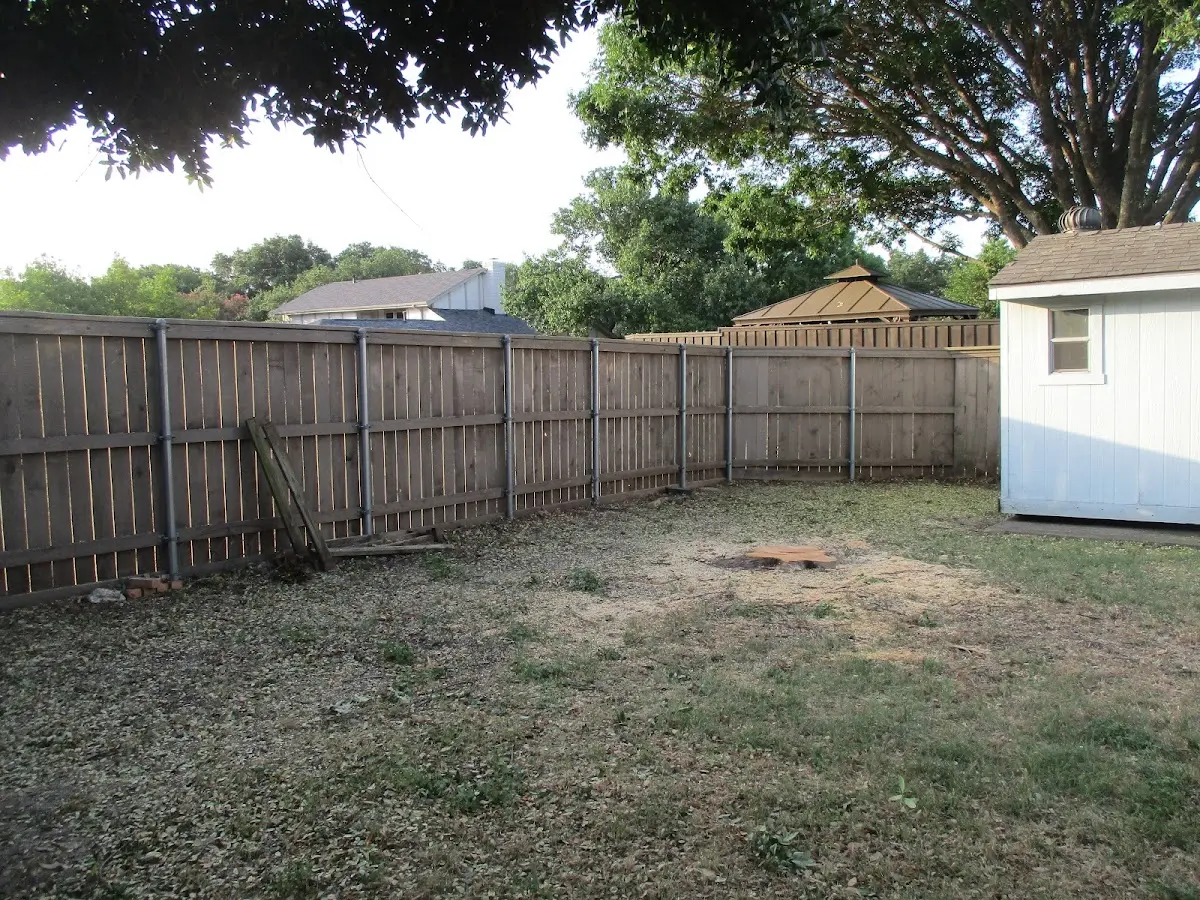 Cleared yard after professional tree removal in Calhoun Falls